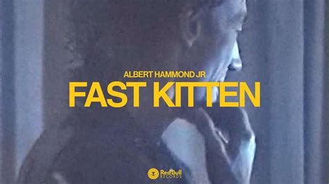 albert hammond jr fast kitten lyrics